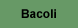 Bacoli
